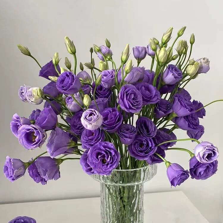 🔥Last Day 49% Discount - Sowing Lisianthus Flower Seeds for All Seasons🌿Suitable for Beginners