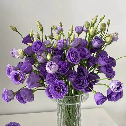 🔥Last Day 49% Discount - Sowing Lisianthus Flower Seeds for All Seasons🌿Suitable for Beginners