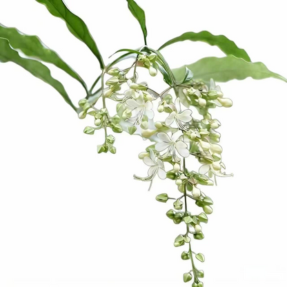 🌸 Last Day 49% OFF – Winter-Friendly Hanging Jasmine—Dreamy Indoor Flower🌿❄️
