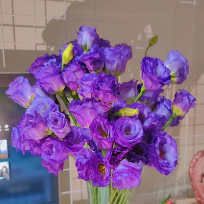 🔥Last Day 49% Discount - Sowing Lisianthus Flower Seeds for All Seasons🌿Suitable for Beginners